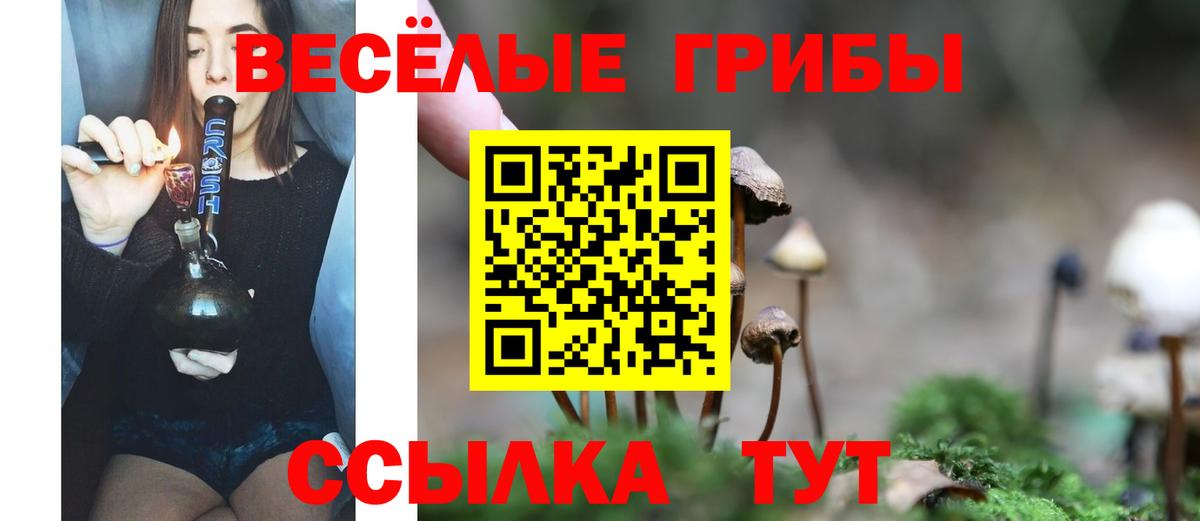 Галлюциногенные грибы мицелий  Псилоцибиновые грибы прущие грибы  Вход с VPN  купить   Луга 